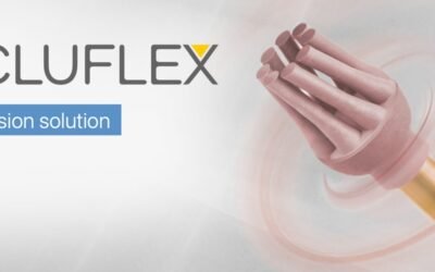 OCCLUFLEX by EVE, the occlusion solution