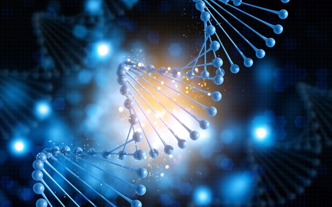 Personalised medicine – the focus of next EuroPerio Series session