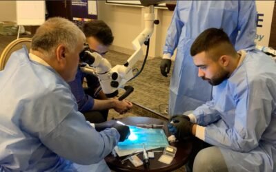Professional root canal treatment hands on course